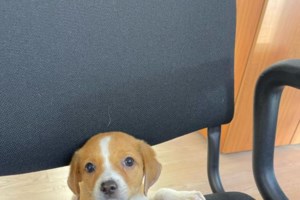 Τζόκερ κλήρωση 2373: Δύο νικητές κερδίζουν από 300.000 ευρώ - Αυτοί είναι οι τυχεροί αριθμοί για σήμερα (7/12/2021) - εικόνα 3