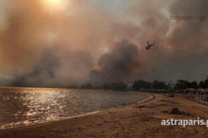 Φωτιά στη Χίο: Ντοκουμέντα με μπιτόνια που δείχνουν εμπρησμό - Προσήχθη νεαρή Γεωργιανή [βίντεο] - εικόνα 4