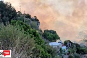 Nέο πύρινο μέτωπο στην Κεφαλονιά: Ενισχύθηκαν οι δυνάμεις - Επιχειρούν και εναέρια στην Πάστρα - εικόνα 2