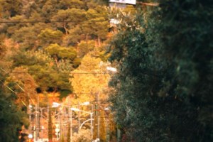 "Μεγάλος Περίπατος Αθήνας": Από σήμερα σε λειτουργία η "νέα" Πανεπιστημίου - εικόνα 2