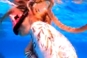 Λαμία: Φίδι έκανε βόλτες στην πλατεία Πάρκου [εικόνα - βίντεο]