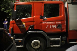 Πυροσβεστική: 45 αγροτοδασικές πυρκαγιές το τελευταίο 24ωρο - Χωρίς ενεργό μέτωπο η πυρκαγιά στην Φιλιππιάδα Πρέβεζας