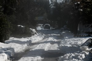 Χωρίς ρεύμα για 4 μέρες ο προπονητής της Εθνικής μπάσκετ: "Ήμουν έξω φρενών"