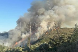 Εύβοια: Από χορτοκοπτικό ξεκίνησε η φωτιά στην Κάρυστο, μια σύλληψη – Σε επιφυλακή για τον κίνδυνο αναζωπυρώσεων - εικόνα 4