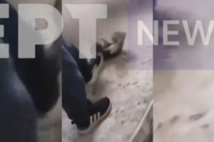 Ζαχάρω Ηλείας: Βίντεο - σοκ με σκυλίτσα - Δεμένη με χοντρή αλυσίδα και σκελετωμένη