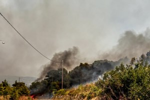 Φωτιά στη Χίο: Κινδύνευσαν άλογα στη Βολισσό - Συγκλονιστικά βίντεο από τη διάσωση