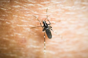 Καλοριφέρ: Το απλό κόλπο που κάνει τα σώματα να ζεματάνε