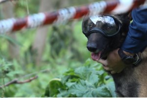 Παραλίγο τραγωδία στη Μεταμόρφωση: Αδέσποτη σφαίρα διαπέρασε φορτηγάκι με δύο επιβαίνοντες