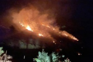 Στις φλόγες ξανά η Ηλεία: Μεγάλη φωτιά καίει δάσος κοντά στην Αμαλιάδα