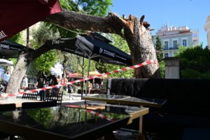Η στιγμή της πτώσης δέντρου στην πλατεία Αγίας Ειρήνης: Η απάντηση της Διεύθυνση Πρασίνου του δήμου Αθηναίων - Η γιακαράντα "είχε ελεγχθεί"