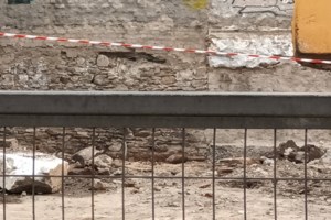 Σοκ στην Κύπρο: 65χρονος κακοποιούσε σεξουαλικά προβατίνες - Πώς έπεσε στα χέρια των Αρχών