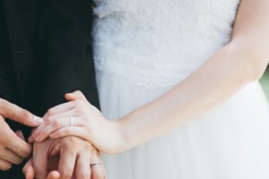 Viral ο σκύλος που ντύθηκε... παρανυφάκι σε γάμο στο Πήλιο -  Ο γαμπρός, η νύφη και η φωτογραφία