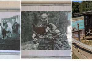 Καβάλα: "Μου είπε έλα στο μαντρί - Πήγα και τους βρήκα νεκρούς και τους τρεις" - Τι αναφέρει ο ξάδερφος του δράστη [Βίντεο] - εικόνα 2