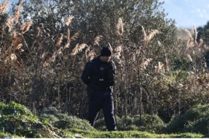 Μεσολόγγι: Echo, ο εκπαιδευμένος σκύλος Κ9 που εντόπισε τη σορό του Μπάμπη - "Καμιά συσκευή δεν είναι σαν τη μύτη του"