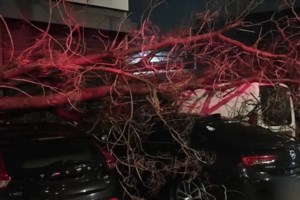 Ισχυρές βροχές και καταιγίδες στο Ανατ. Αιγαίο - 127 κλήσεις στην Πυροσβεστική από χθες στην Αττική - εικόνα 2