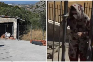 Βοιωτία: Η φωτογραφία που "έκαψε" την 62χρονη - Πώς οι αστυνομικοί κατάλαβαν την απάτη με τη μητέρα της [βίντεο] - εικόνα 5