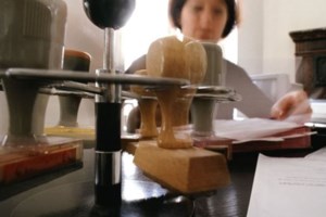 Ο "χάρτης" των πληρωμών από τον e-ΕΦΚΑ και τη ΔΥΠΑ έως τις 14 Μαρτίου