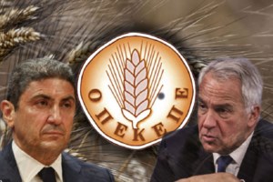 Δικογραφία ΟΠΕΚΕΠΕ: "Γνωρίζω πολύ καλά τι έχω πράξει" - "Όλοι είμαστε ίσοι απέναντι στο νόμο" - Οι αντιδράσεις Βορίδη - Αυγενάκη - εικόνα 2