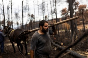 Φωτιά σε δασική έκταση στην Ηλεία: Μεγάλη κινητοποίηση με 4 αεροπλάνα