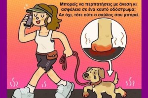 Μη ξεχάσεις τα αδέσποτα της γειτονιάς σου πριν φύγεις για διακοπές... Τι μπορούμε να κάνουμε - εικόνα 2