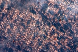 Φωτιά στην περιοχή Βέρια του Δήμου Σπάρτης - Συναγερμός στην πυροσβεστική