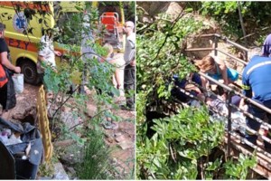 Τραγωδία στη Νέδα: Η μοιραία απόφαση των γονιών του 4χρονου για το μονοπάτι - Η μητέρα είχε αγκαλιά το 15 μηνών μωρό της - εικόνα 3