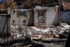 Δίκη για το Μάτι: "Οι άνθρωποι πέθαναν αβοήθητοι" κατέθεσε ο πραγματογνώμονας Ανδριανός Γκουρμπάτσης - εικόνα 2