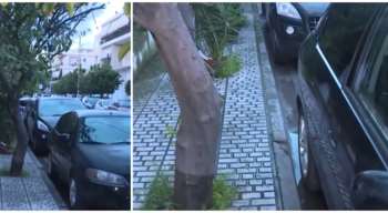 Ελευσίνα: "Πέθανε μέσα σε τρία λεπτά, τη βρήκε κλαδί στον λαιμό" - Η ανατριχιαστική περιγραφή για την 72χρονη