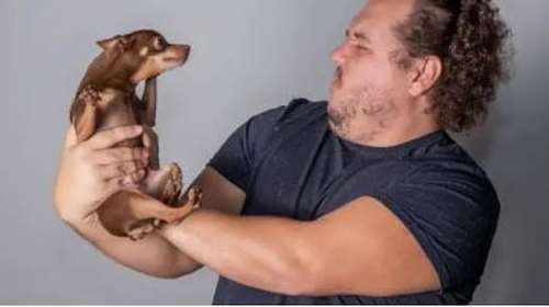 Γιατί ο σκύλος μου μυρίζει άσχημα;