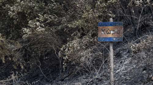 Φωτιά στην Αρκαδία: Αντιμετωπίστηκαν οι αναζωπυρώσεις στη Γορτυνία και στη Μεγαλόπολη - Δεν κινδυνεύει οικισμός