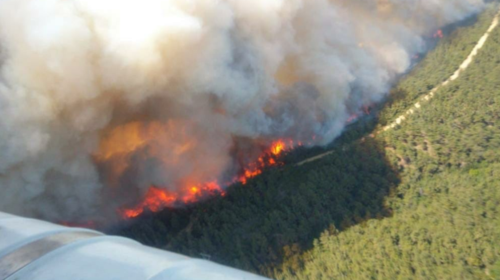 Τουρκία: Μεγάλη δασική πυρκαγιά μαίνεται στη χερσόνησο της Καλλίπολης [Εικόνες-Βίντεο]