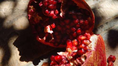 Η νέα φωτογραφική έκθεση της Πόπης Τσουκάτου για τα Ελευσίνια Μυστήρια [εικόνες]