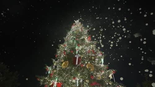 Σύνταγμα: Την Πέμπτη η φωταγώγηση του Χριστουγεννιάτικου δέντρου-  Έλατο 20 μέτρων από φυτώριο στον Ταξιάρχη Χαλκιδικής