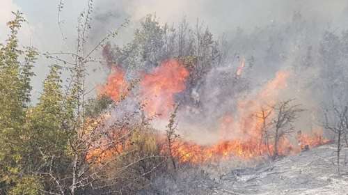 Συναγερμός στην Πυροσβεστική: Μεγάλη φωτιά στον Έβρο - Κινδυνεύει προστατευόμενη περιοχή [Εικόνες - Βίντεο]