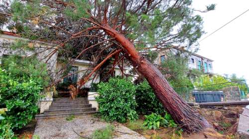 Λέσβος - Σε κλοιό κακοκαιρίας: Ζημιές σε σπίτια και αυτοκίνητα, κλειστά τα σχολεία