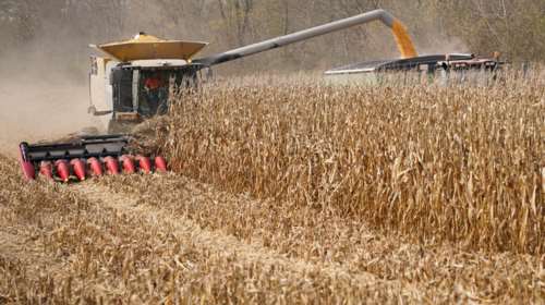 Προειδοποιεί ο Economist: Οι κίνδυνοι λόγω κορονοϊού για την παγκόσμια επάρκεια τροφίμων είναι πολλοί