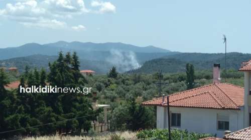 Μεγάλη φωτιά στη Χαλκιδική -Καίγεται δάσος στα Πηγαδάκια Σιθωνίας