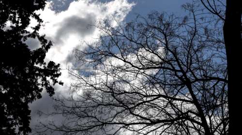 Καιρός: Αραιή συννεφιά και μικρή πτώση της θερμοκρασίας σήμερα