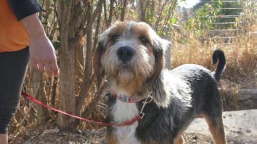 Πικάσο: &quot;Ζωγραφική δεν είναι να αντιγράφεις τη φύση, αλλά να μάθεις να δουλεύεις όπως η φύση&quot;