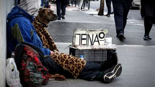 Σκυλάκια  που… τρέμουν από το κρύο στην υπηρεσία κυκλωμάτων επαιτείας  - &quot;Μην δίνετε χρήματα…&quot;