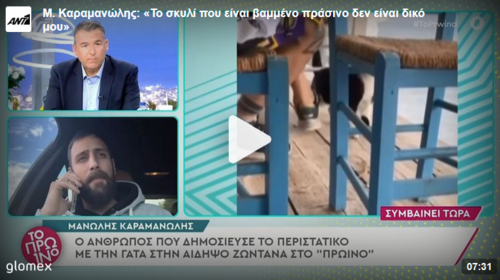 Κακοποίηση γάτας στην Αιδηψό: &quot;Ζητώ συγγνώμη για το βίντεο και τις βρισιές - Δεν την κλώτσησα εγώ, δεν έχω συλληφθεί&quot;
