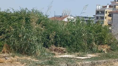 Παράταση δηλώσεων καθαρισμού οικοπεδικών και ακάλυπτων χώρων