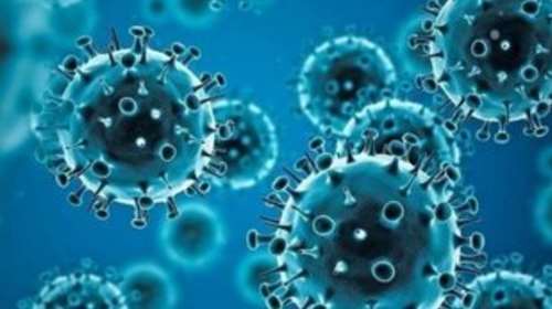 Ο κορονοϊός αυξάνει τον κίνδυνο άλλων λοιμώξεων, επειδή διαταράσσει τα βακτήρια του εντέρου