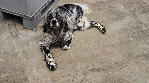Είναι ένα θαύμα της φύσης η Κλειώ: Οχι μόνο υπέροχη, αλλά και γλυκιά, τρυφερή, καλόβολη και καλοσυνάτη
