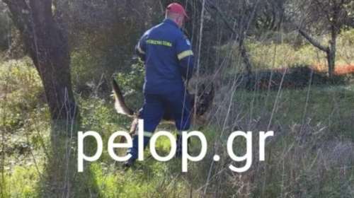 Αχαΐα: Αγνοείται 59χρονος πατέρας τριών παιδιών που είχε βγει να μαζέψει μανιτάρια