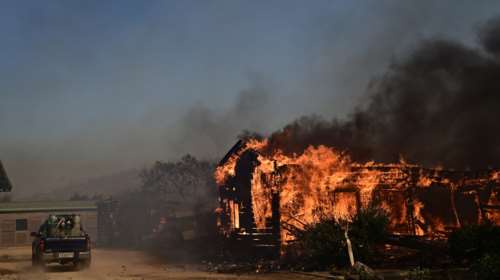 Φωτιά στον Κουβαρά: Κάηκε ολοσχερώς το καταφύγιο Fazoo Farm - Θλίψη και οργή καθώς γλίτωσαν ελάχιστα ζώα