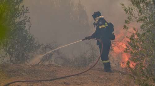 Υπό μερικό έλεγχο η πυρκαγιά σε αγροτοδασική έκταση στους Κήπους Βραυρώνας
