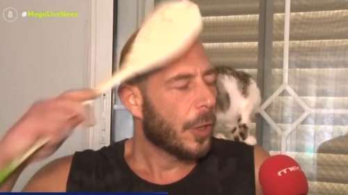 Nέες καταγγελίες για κακοποίηση σκύλου από τον 38χρονο στο Πέραμα