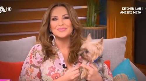 Βούρκωσε η Ν. Γερμανού: "Ο "Μίκυ" έφυγε ήσυχα στον ύπνο του - Στο καλό αγαπούλα μου!" - Συγκινητικό βίντεο