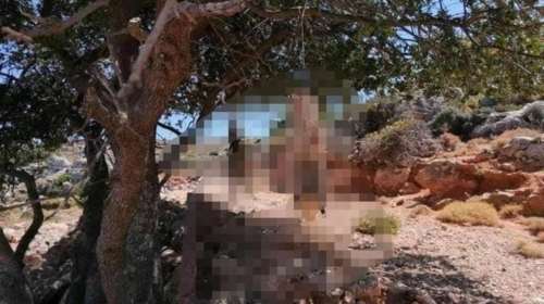 Ασύλληπτη θηριωδία: Βασάνισαν μέχρι θανάτου μικρά σκυλιά στα Χανιά